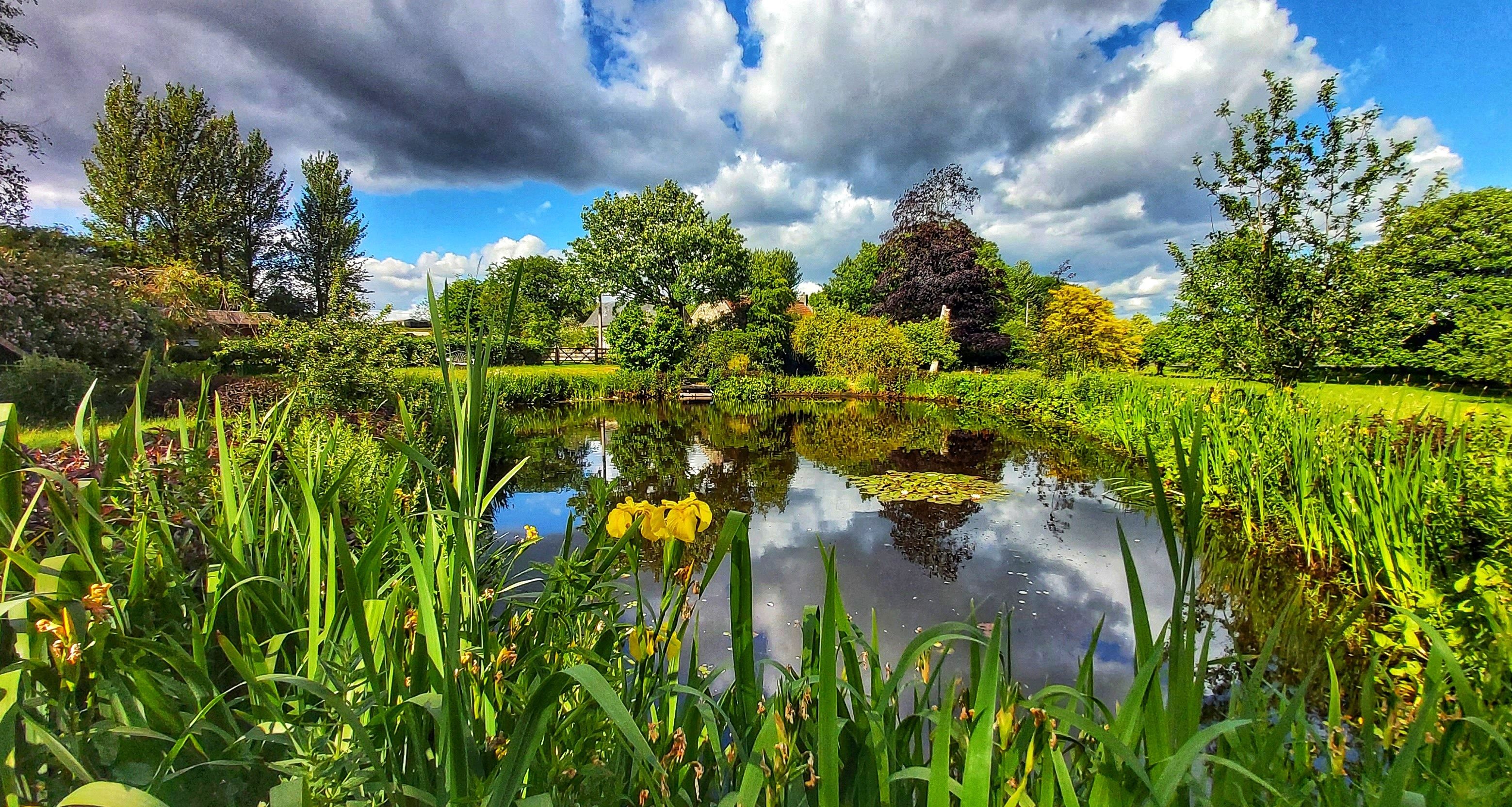 Grounds